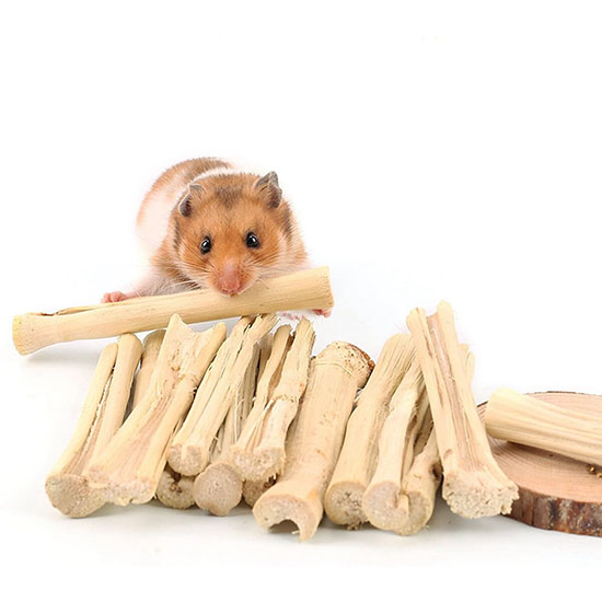 Đồ chơi luyện hàm cho chuột hamster