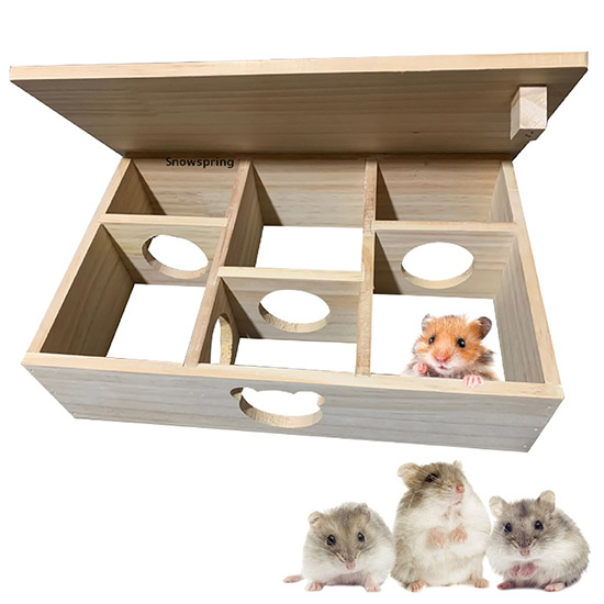 Mê cung - đồ chơi lý tưởng cho chuột hamster