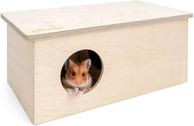 Chuồng hamster tự làm bằng bìa carton, hộp giấy